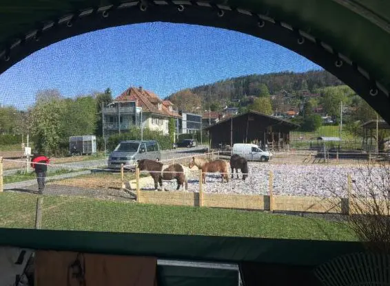 Stalldienstmitwirkende gesucht für Wochenendstalldienste in Gümligen