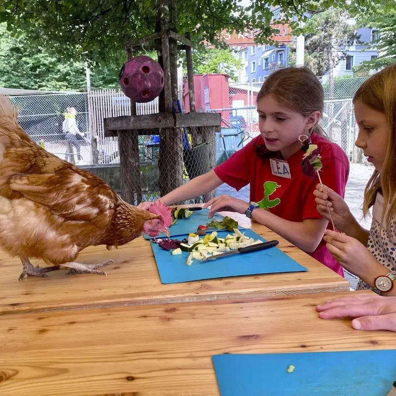 Tierische Erlebnisse gestalten - suchen Mitarbeiter: in im Stundenlohn