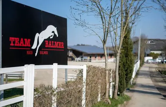 Reitunterricht und Pflegepferd nähe Winterthur