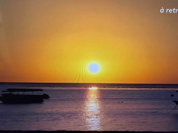 Rencontrer mon âme soeur