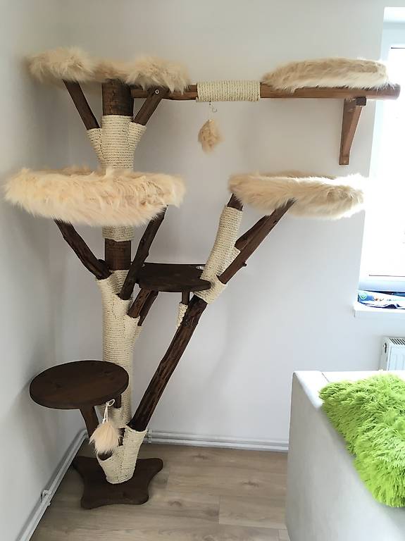 naturholz kratzbaum katzenbaum robinson club neu