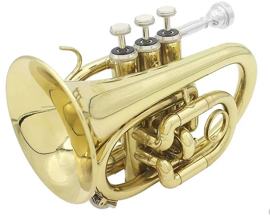 Mini Taschentrompete inkl. Koffer und Zubehör