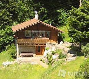 Gemütliches Chalet im Skigebiet Meiringen