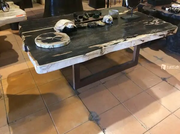  Fossil Lounge Tisch Esstisch Steintisch Küchentisch Natur