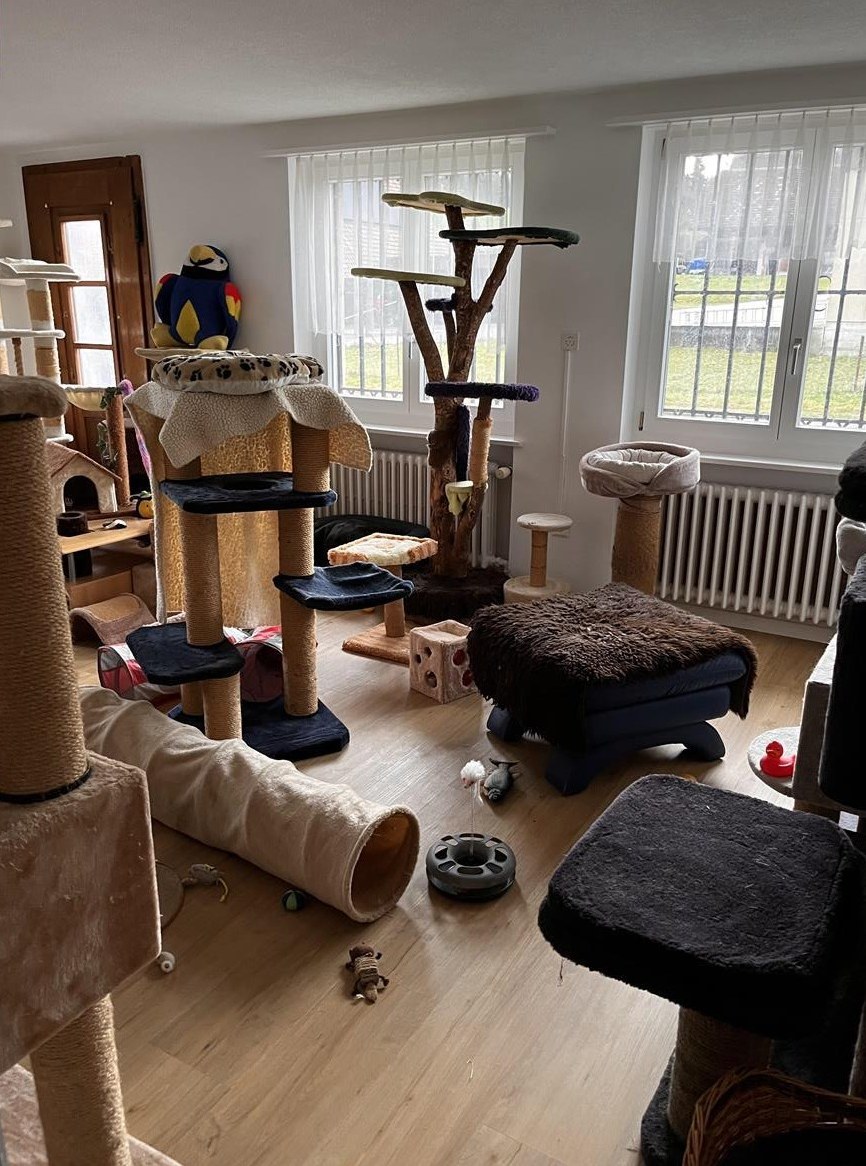 Familiäre Tierpension zur kleinen Pfote, Kanton Bern