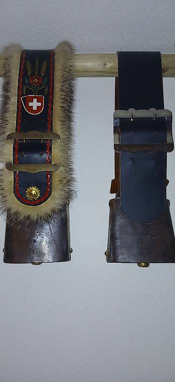 Kuhglocke, Glocke, Treichel, Schelle