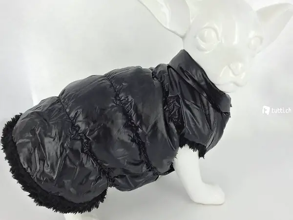  F+M Windjacke BLACKY für chihuahua Gr.S