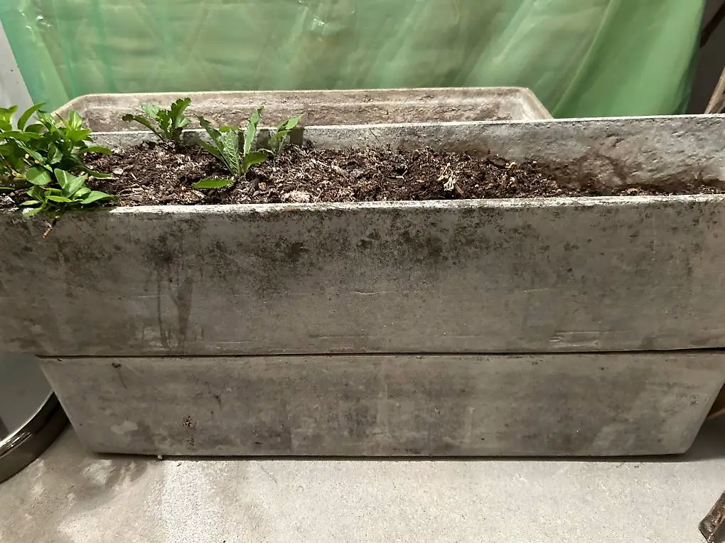 Blumenkasten zu verkaufen