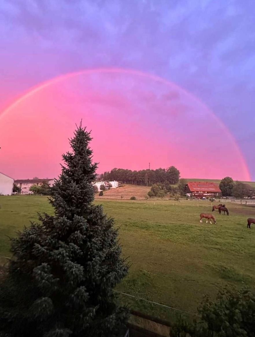 2 Auslaufboxen zu vermieten in 3098 Köniz BE