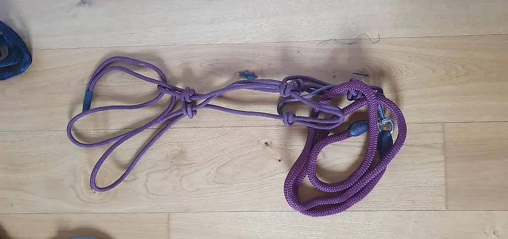 Drei Felix Bühler Halfter mit Strick