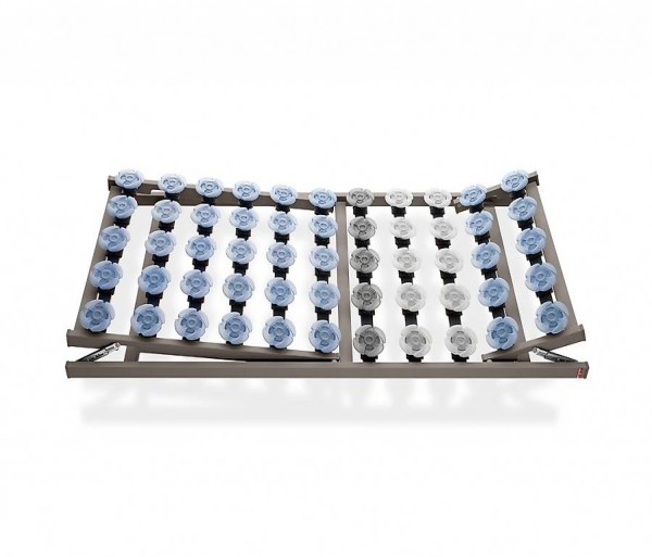  Lattenrost Roviva Mod. Feelingpur mit Kopf-+Fusshochlagerung