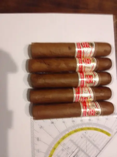 Kubanische Zigarren Hoyo total 5 Stck