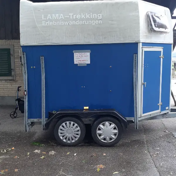 Pferde Anhänger sep 2024 ab Mfkauch für Schafe ect. Geeignet