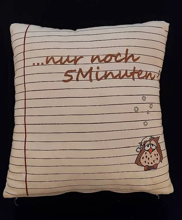 Kissen mit Eule und Aufschrift "...nur noch 5 Minuten"