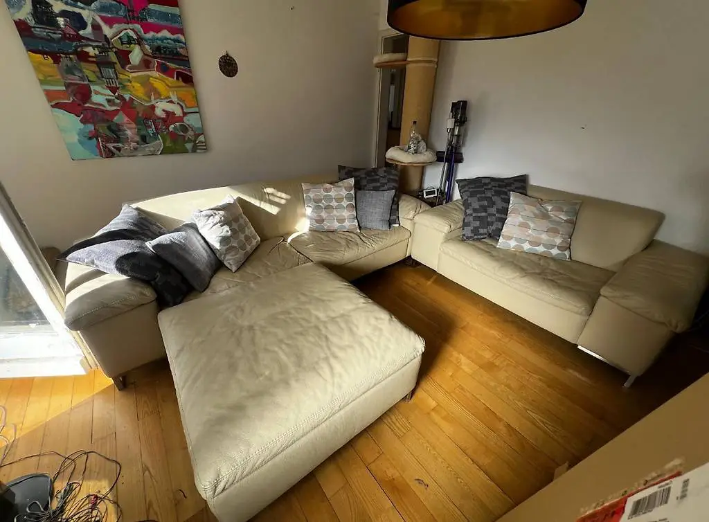 Ledersofa abzugeben? schönes Design