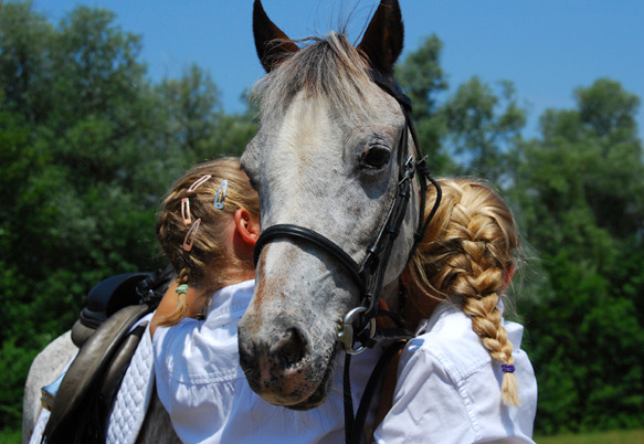 Pony Club für Kinder