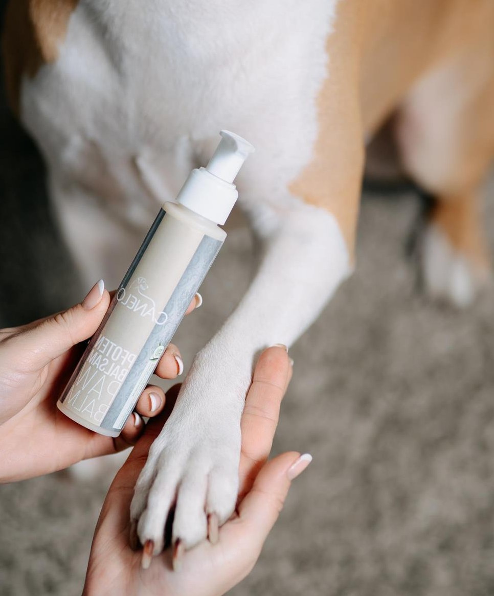 Pfotenbalsam für Hunde | 100 ml | CANELO rein natürlich