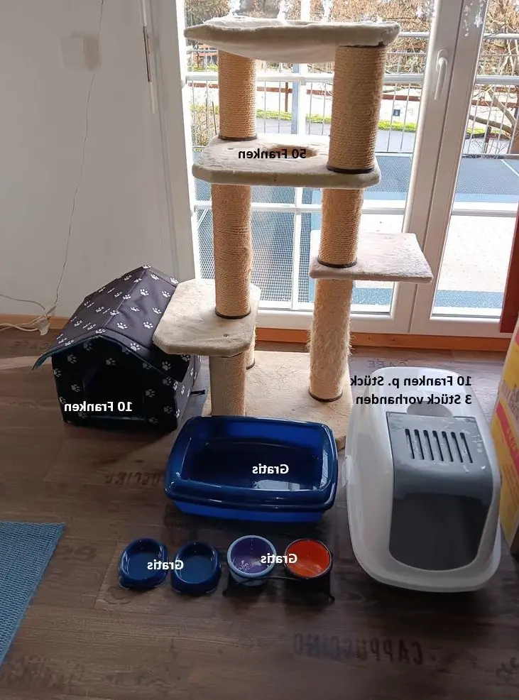 Katzenzubehör zu verkaufen / alles GRATIS für Tierheim