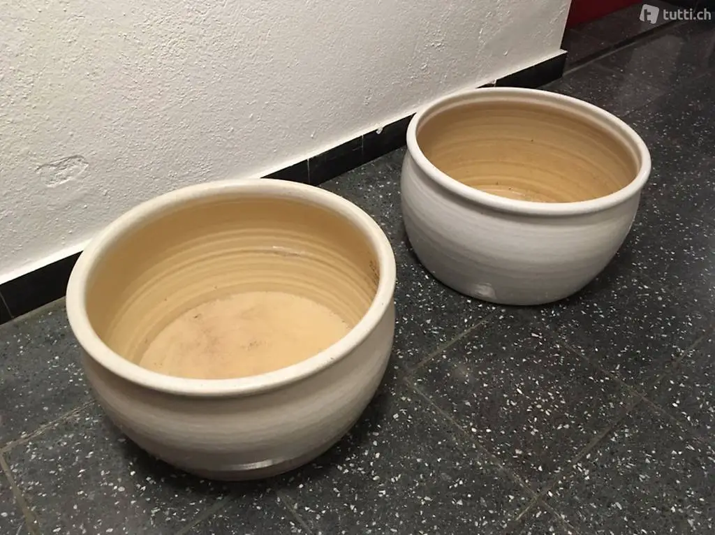 Blumentopf / Pflanzenschale