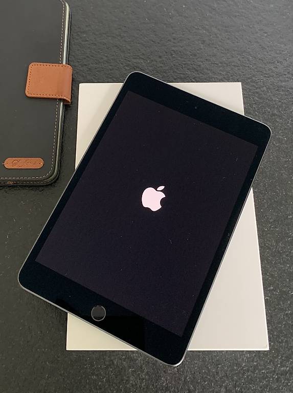 Apple iPad Mini 5 (A2133) 64GB WiFi 7,9 Zoll Grau