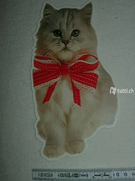  Ansichtskarte Katze mit Masche