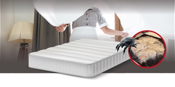 Werde Selbstständig mit CLNUP