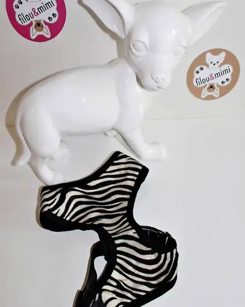  M+F SOFTGESCHIRR ZEBRA für chihuahua Gr.S,L