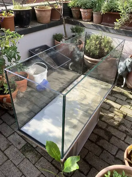 Schönes Aquarium/Terrarium