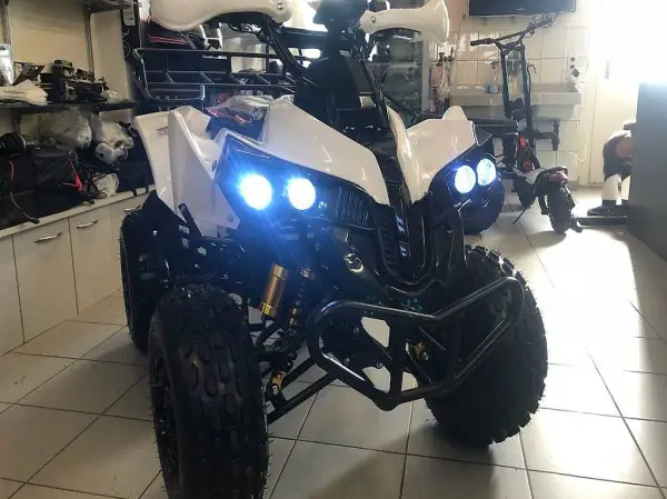  ATV Quad ATV Quad Max Power Motor 1300Watt 60V