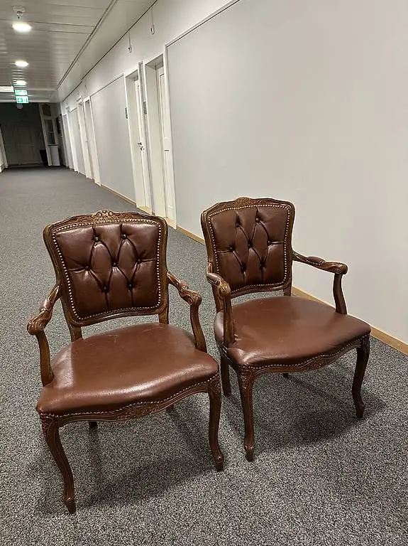 Vintage Sessel Leder 2 Stk.