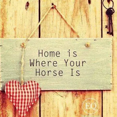 Suche Selbstversorgerstall für 6 Pferde, Region Wil SG