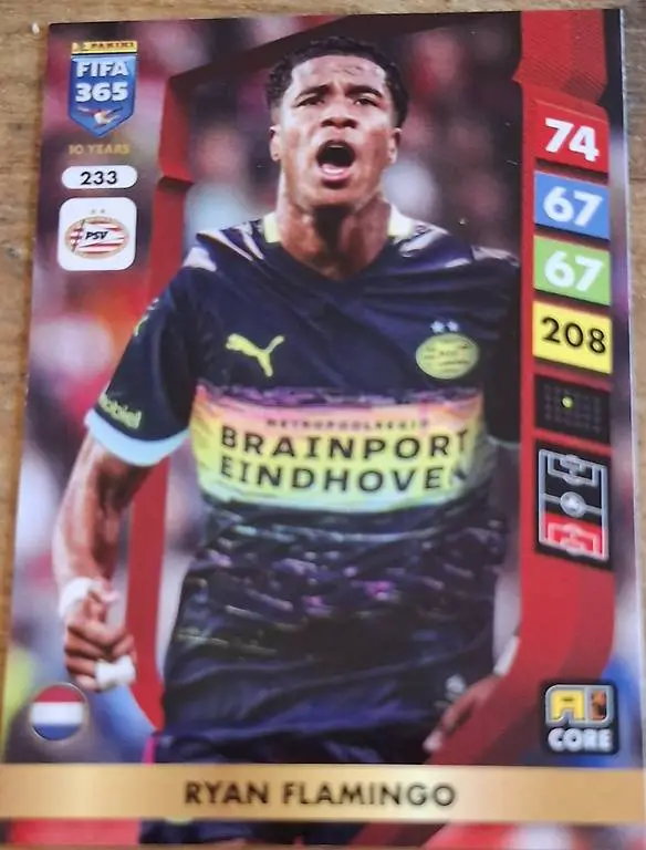 Ryan Flamingo Sammelkarte