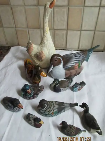  Ente Enten, Gänse. Wassertier, Stockenten 11 Stücke