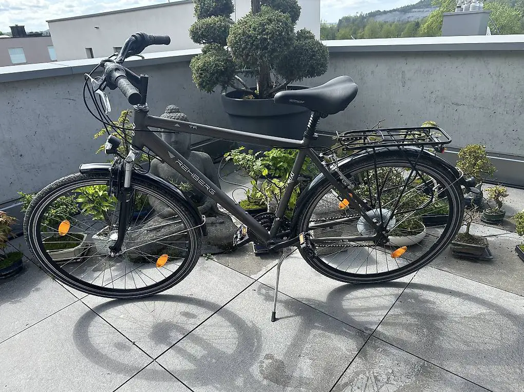 Herren-Trekkingbike Grösse L