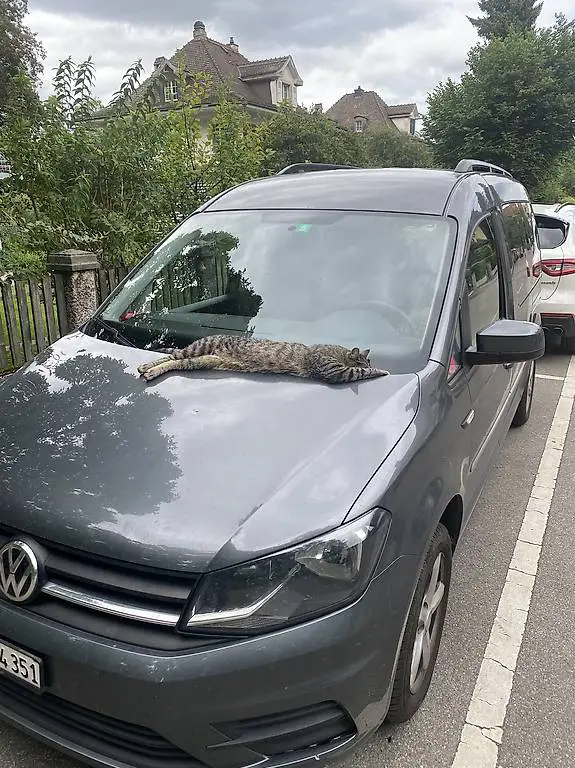 Fahrdienst 3 Seenregion