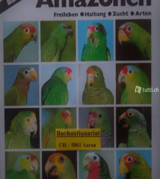 Bosch, Amazonen Band 2