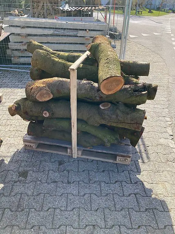 Zwetschgen Holz Bastelholz Baumstämme Drechseln