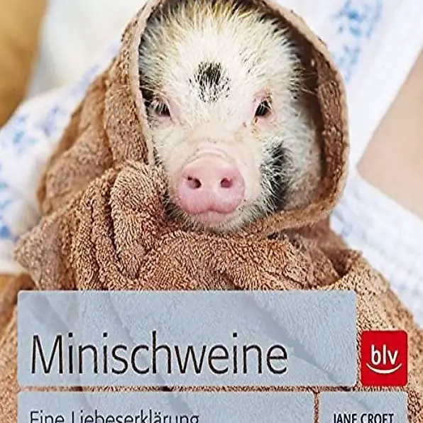Minischweine: eine Liebeserklärung / Jane Croft
