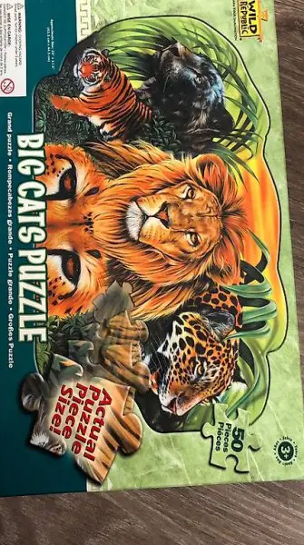 Big Cats Puzzle