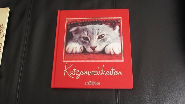 Katzenweisheiten