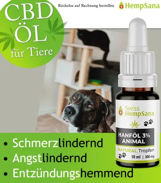 Nur das Beste CBD für Ihren Liebling