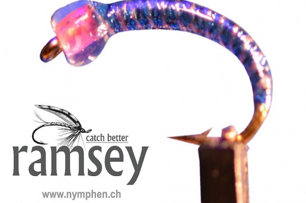  GP37 UV - Voll-Lackiert