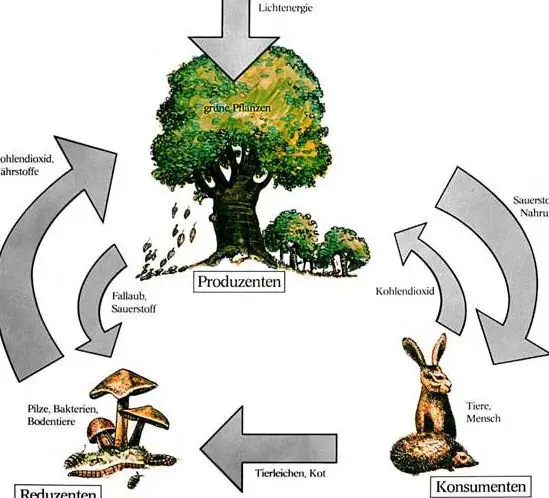 Artgerechte Tiernahrung für Hund, Katze, Pferd direkt nach Hause lieferbar