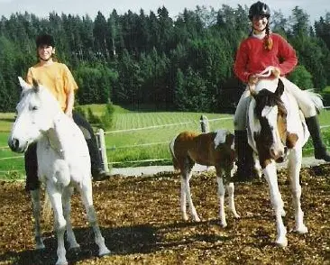 Lässige Reitlager auf dem Brikerhof im Appenzellerland