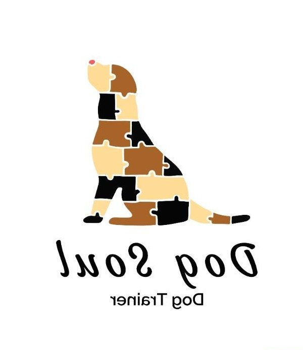 Hundeschule DogSoul - Professioneller Einzelunterricht