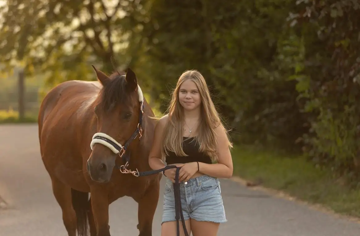 Suche eine Reitbeteiligung im Rafzerfeld