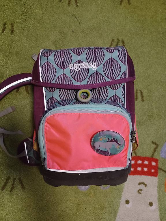 Ergobag Schulrucksack gebraucht