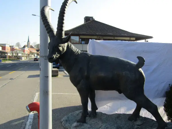 Steinbock in Lebensgrösse - Bronze