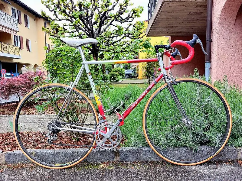 Vendo Colnago master