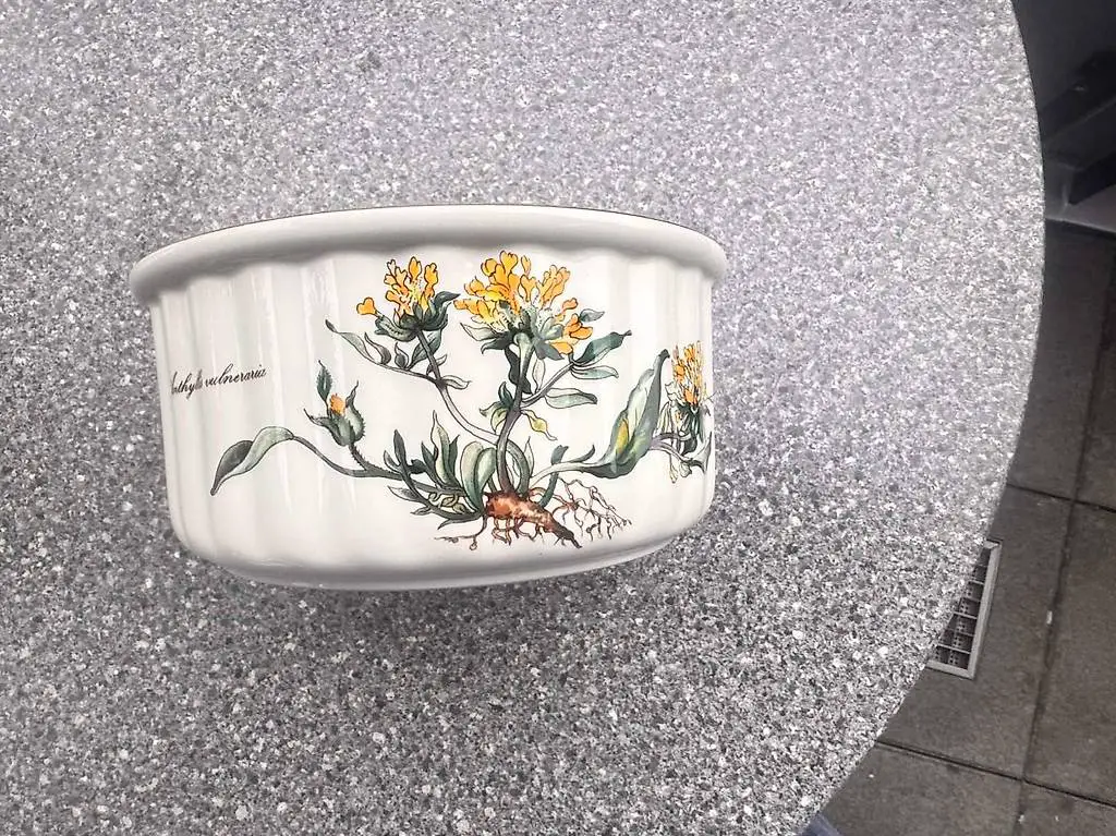 Villeroy & Boch V&B Botanica Schale Kochgeschirr